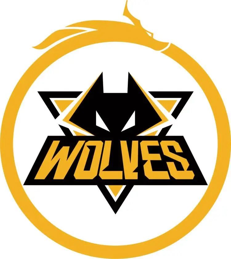 万物皆可2077，这样的CSGO你喜欢吗